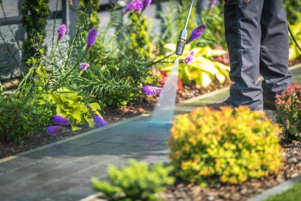 Best Driveway Pressure Washing  in Addison, TX